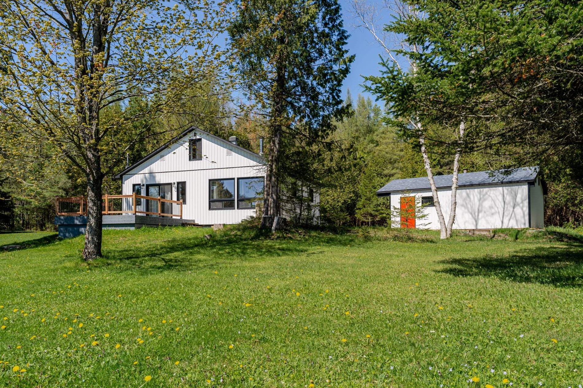 287 Av. Centrale N. — photo 3