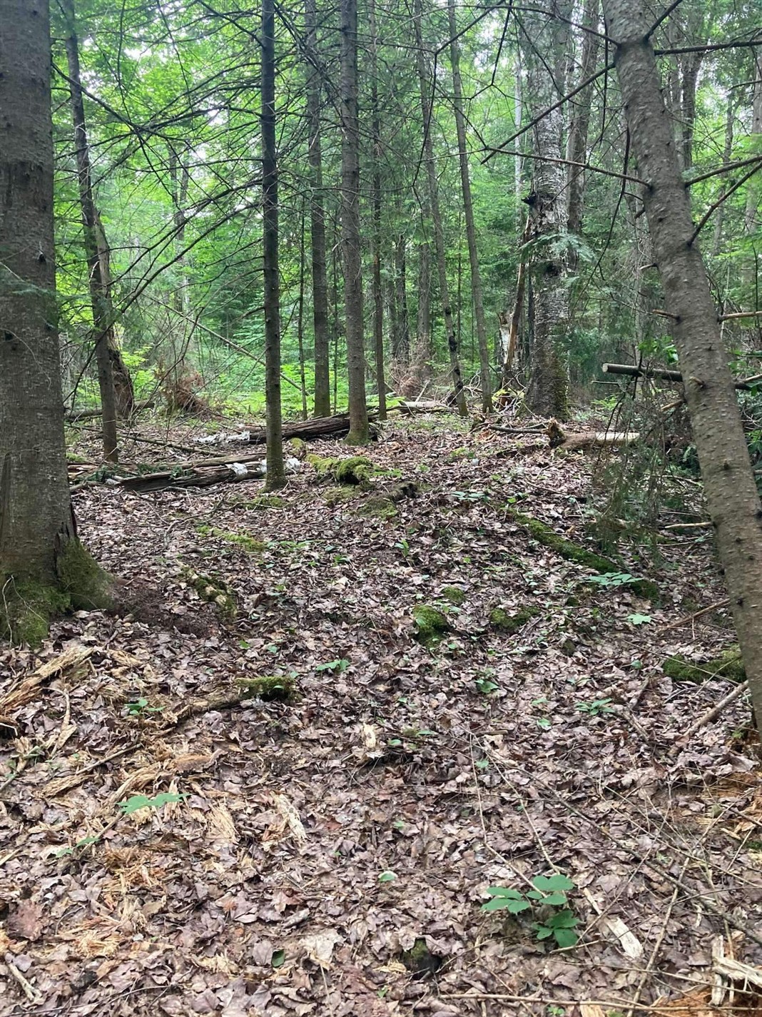 Ch. du Lac-de-l'Écluse — photo 1