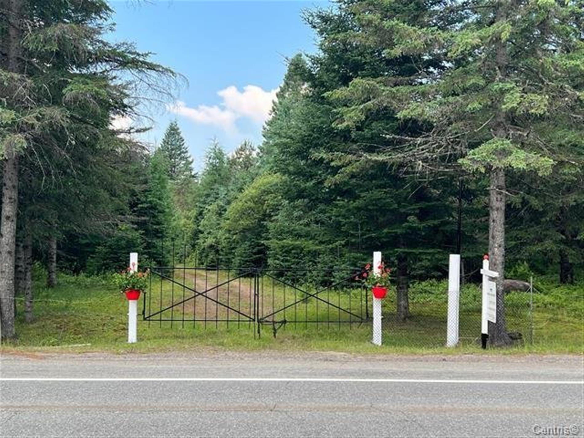 Mtée Kavanagh — photo 2