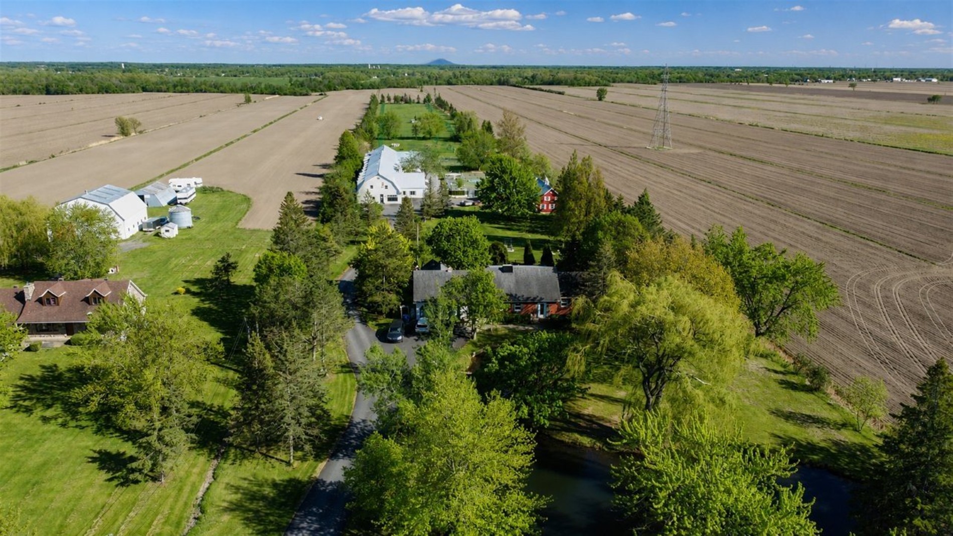 494Z Ch. Bella-Vista — photo 1