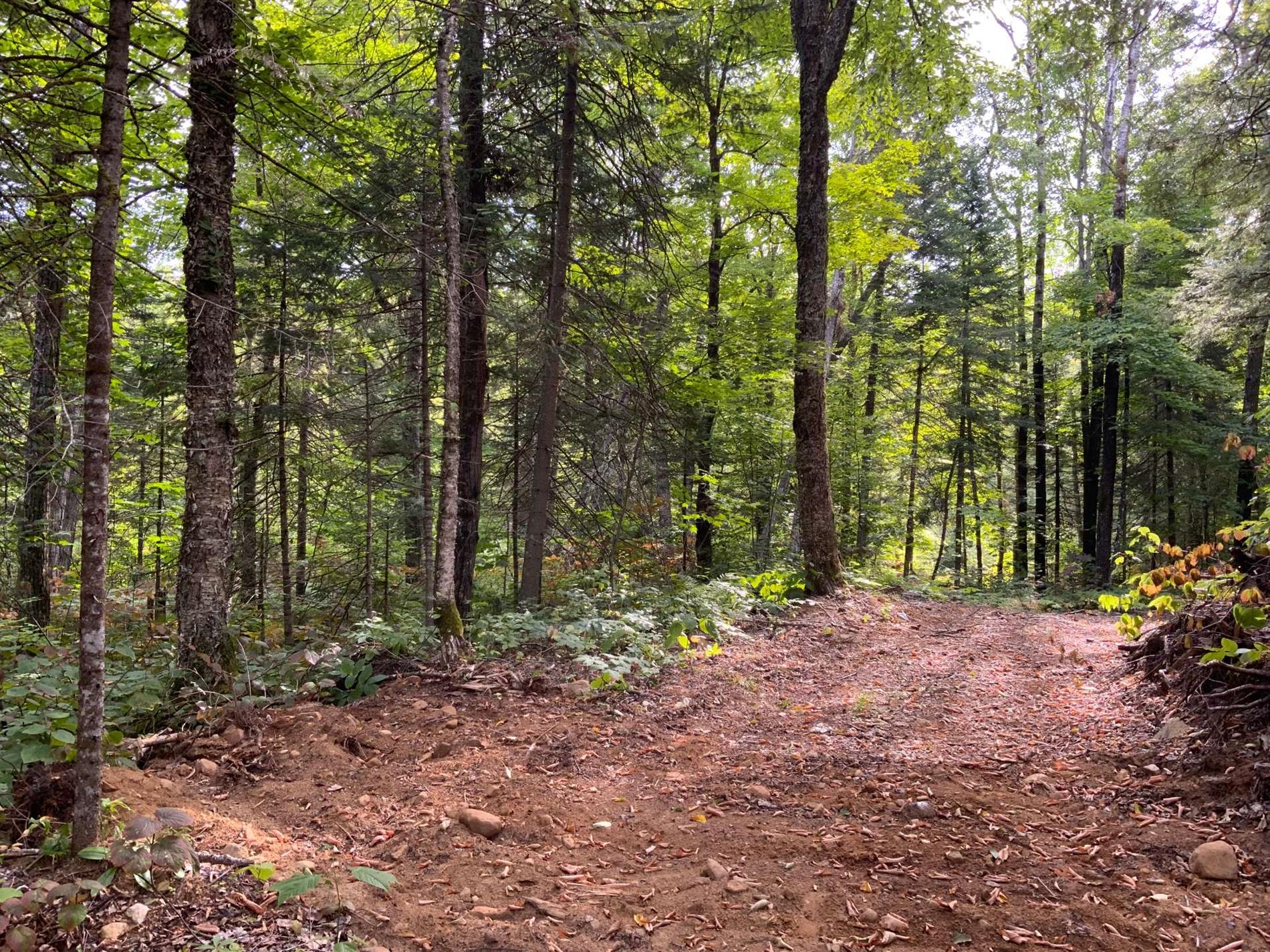 131 Mtée Rochon — photo 1
