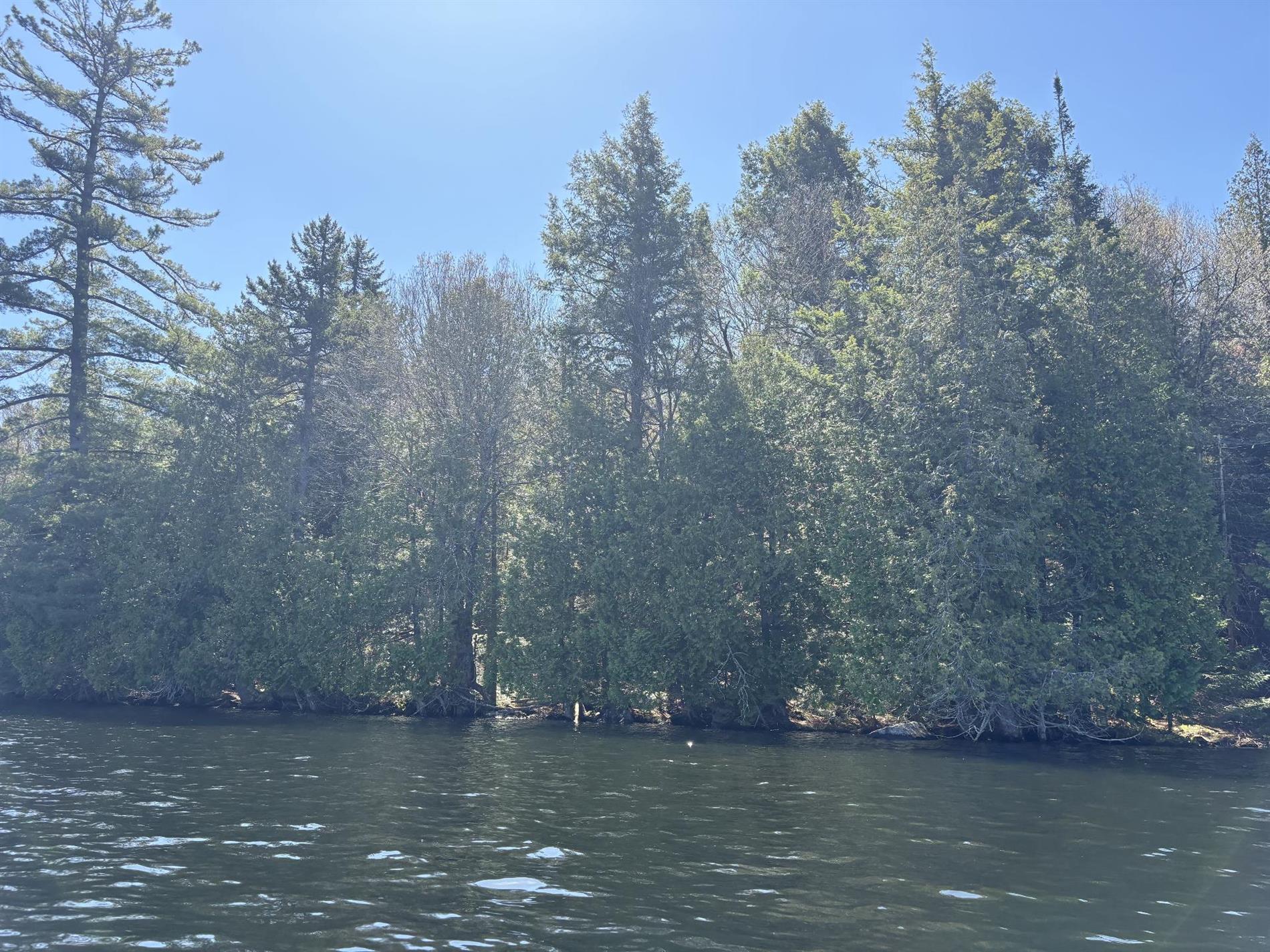 Ch. du Lac-Earl E. — photo 1