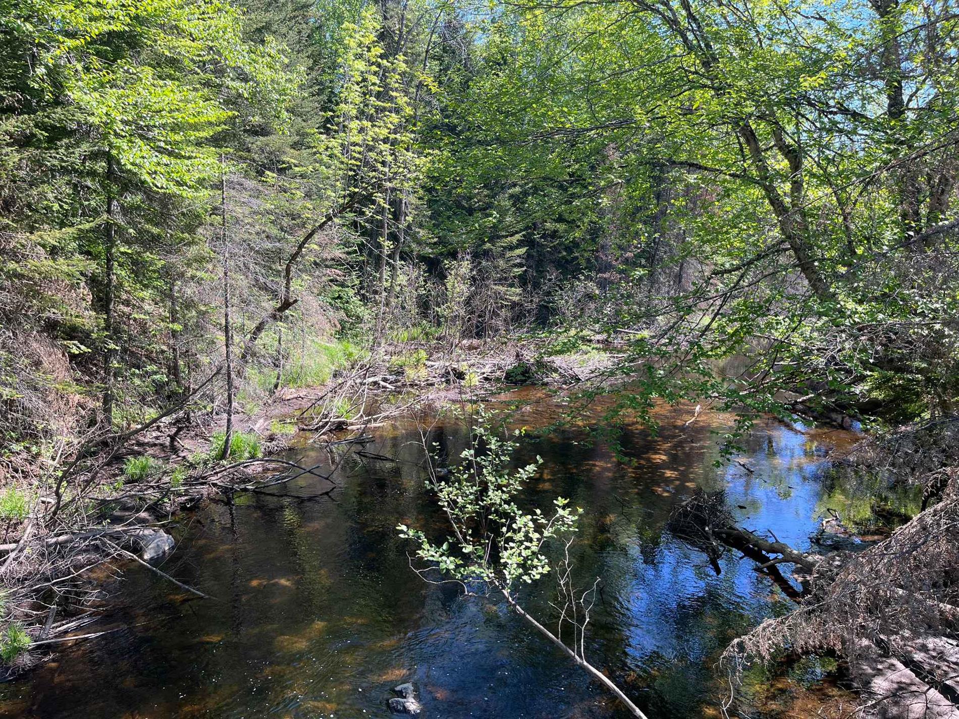9e Rang — photo 1