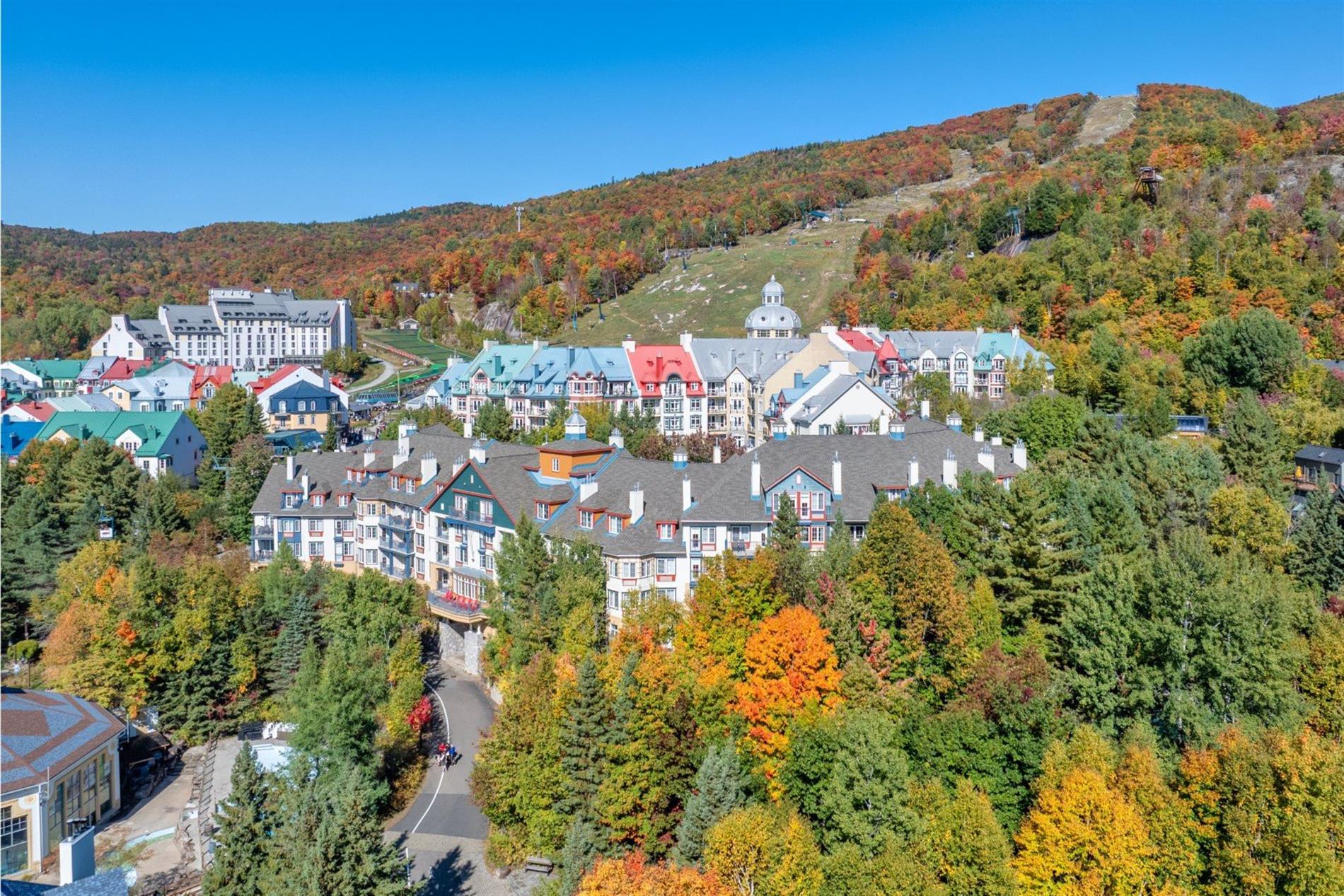 140 Ch. au Pied-de-la-Montagne — photo 1