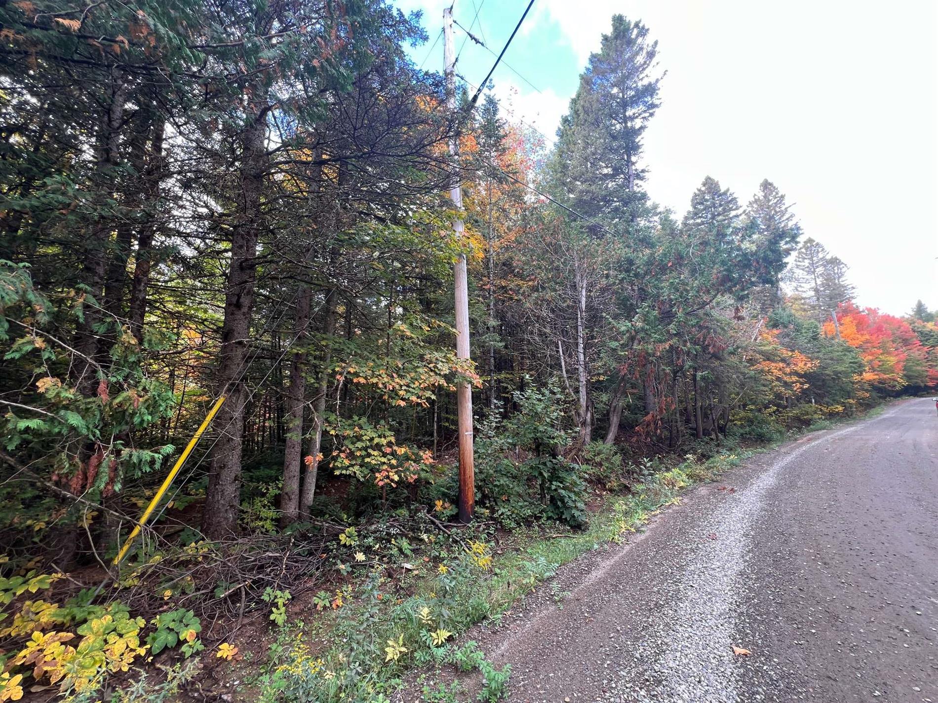 Av. Solitaire — photo 1