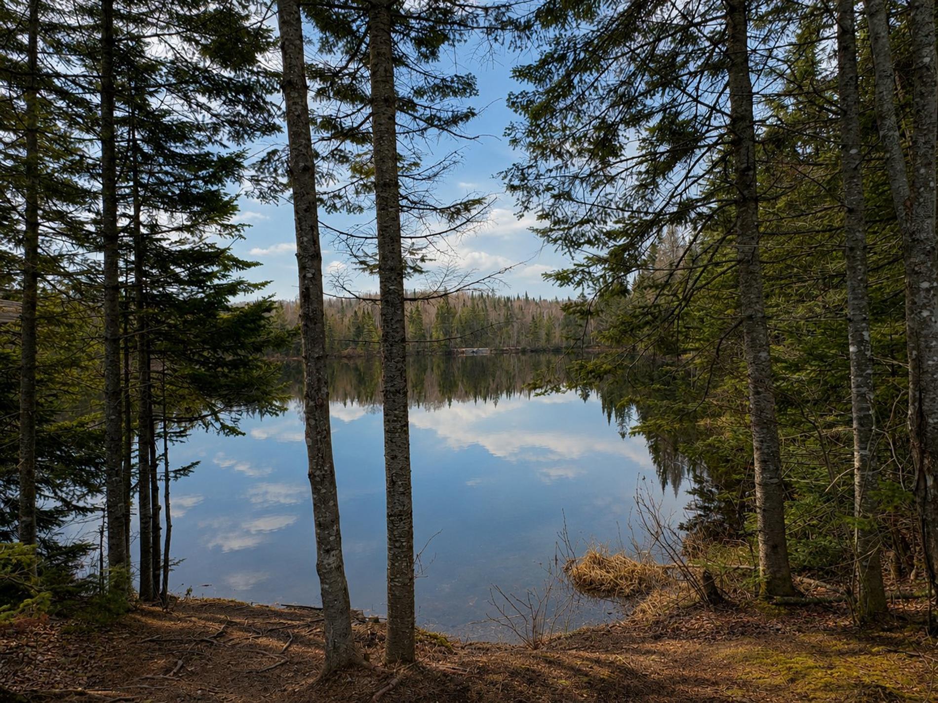 1713 Ch. du Lac-Amico — photo 3