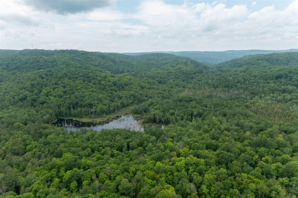 Terrain - 128e Avenue, Saint-Hippolyte