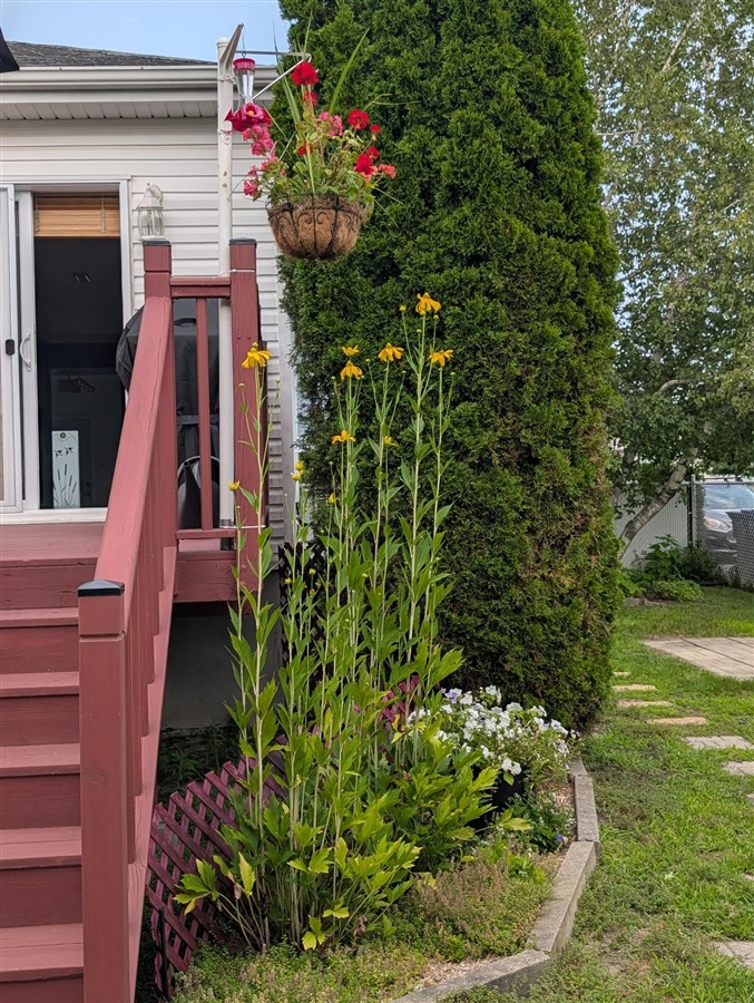 Maison de plain-pied, Terrebonne, photo 32 de 33