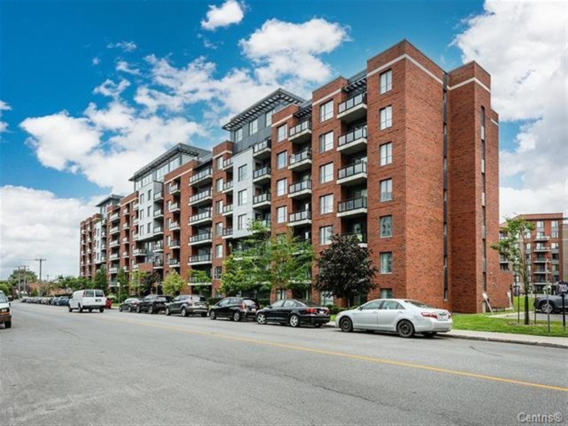 7000 Rue Allard — photo 1