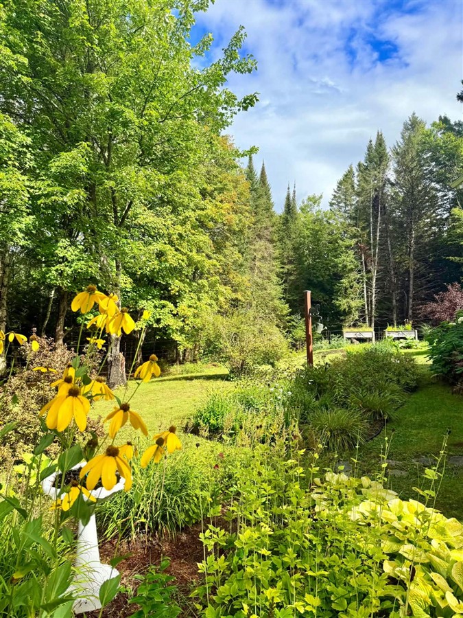 Photo 56