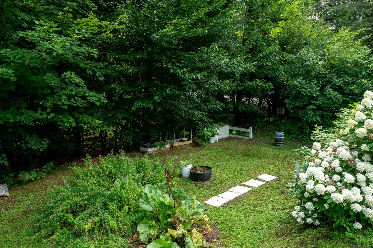 Photo 47