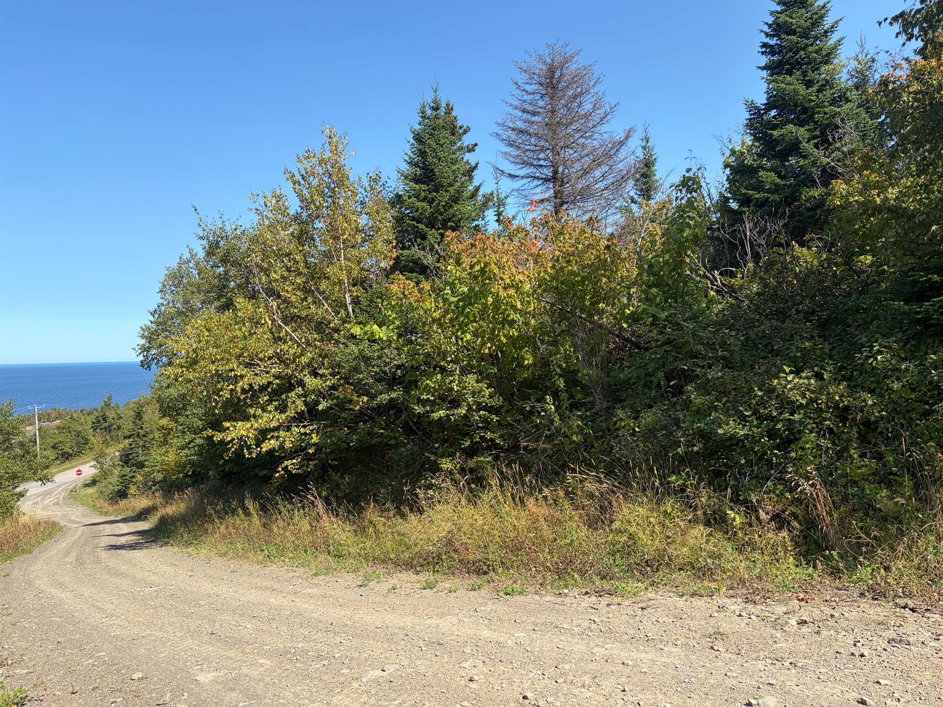 Route Xavier-Vallée Rang 2 — photo 3