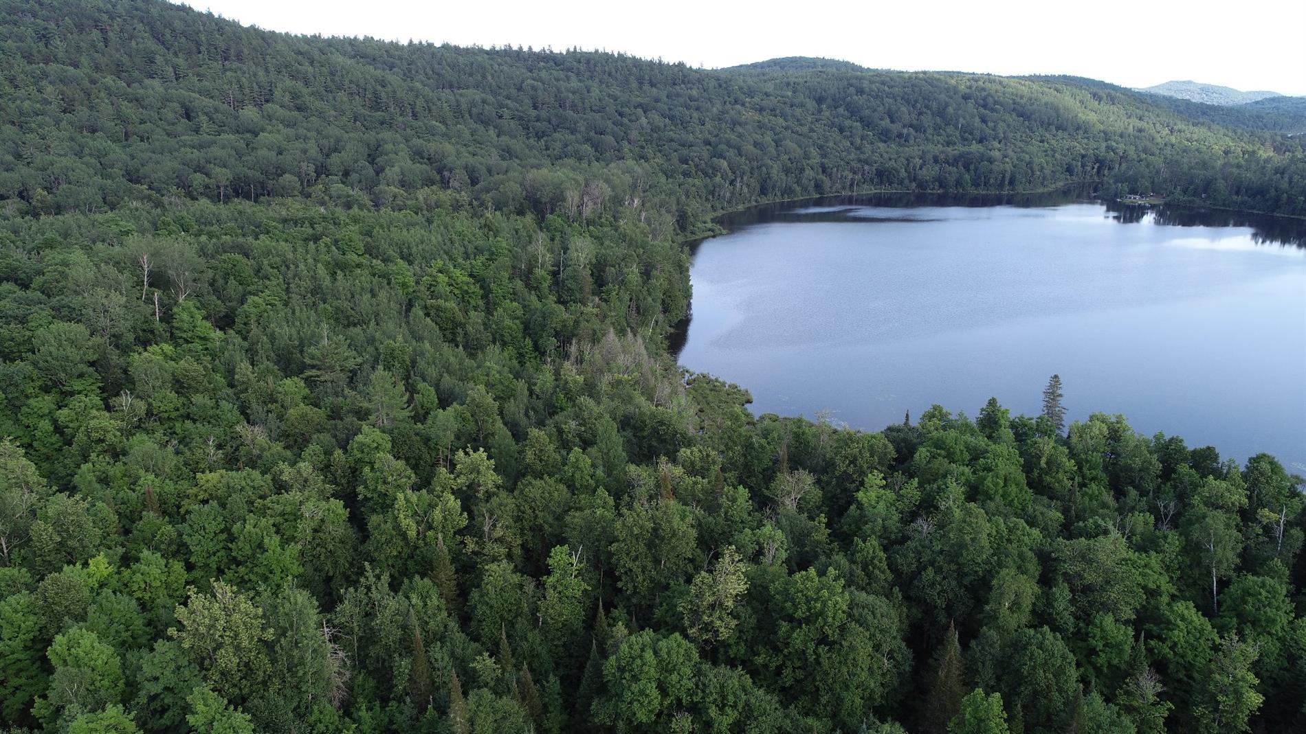 Ch. du Lac-des-Îles — photo 1