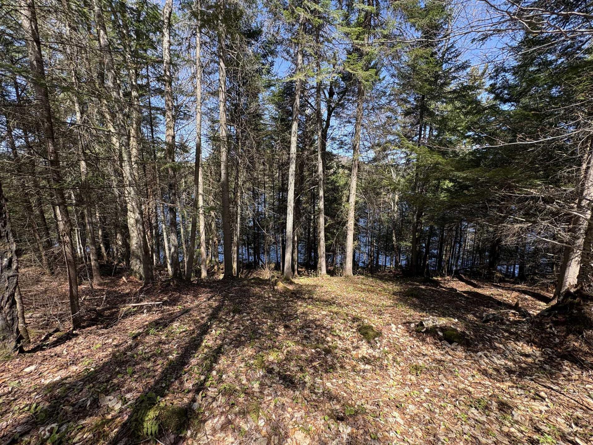 Ch. du Lac-Earl E. — photo 2
