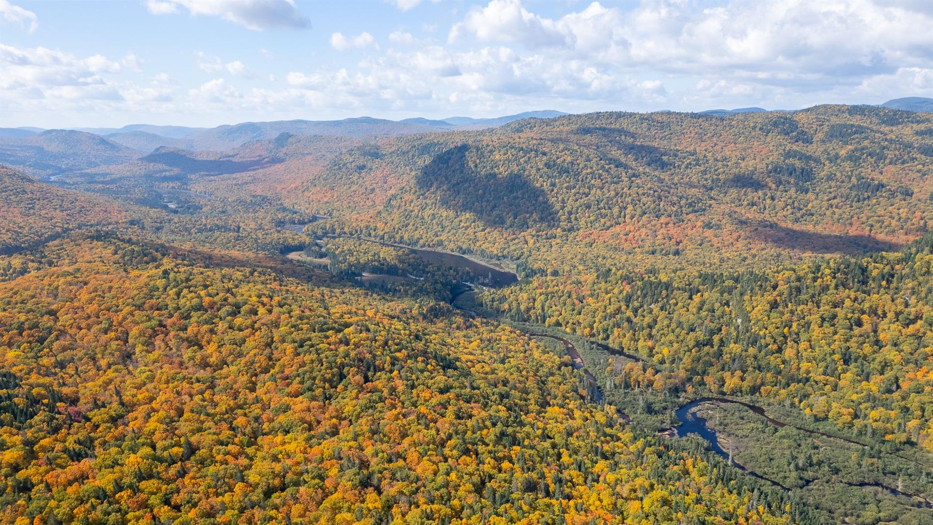 Terrain — 2 Rue non disponible, app. C