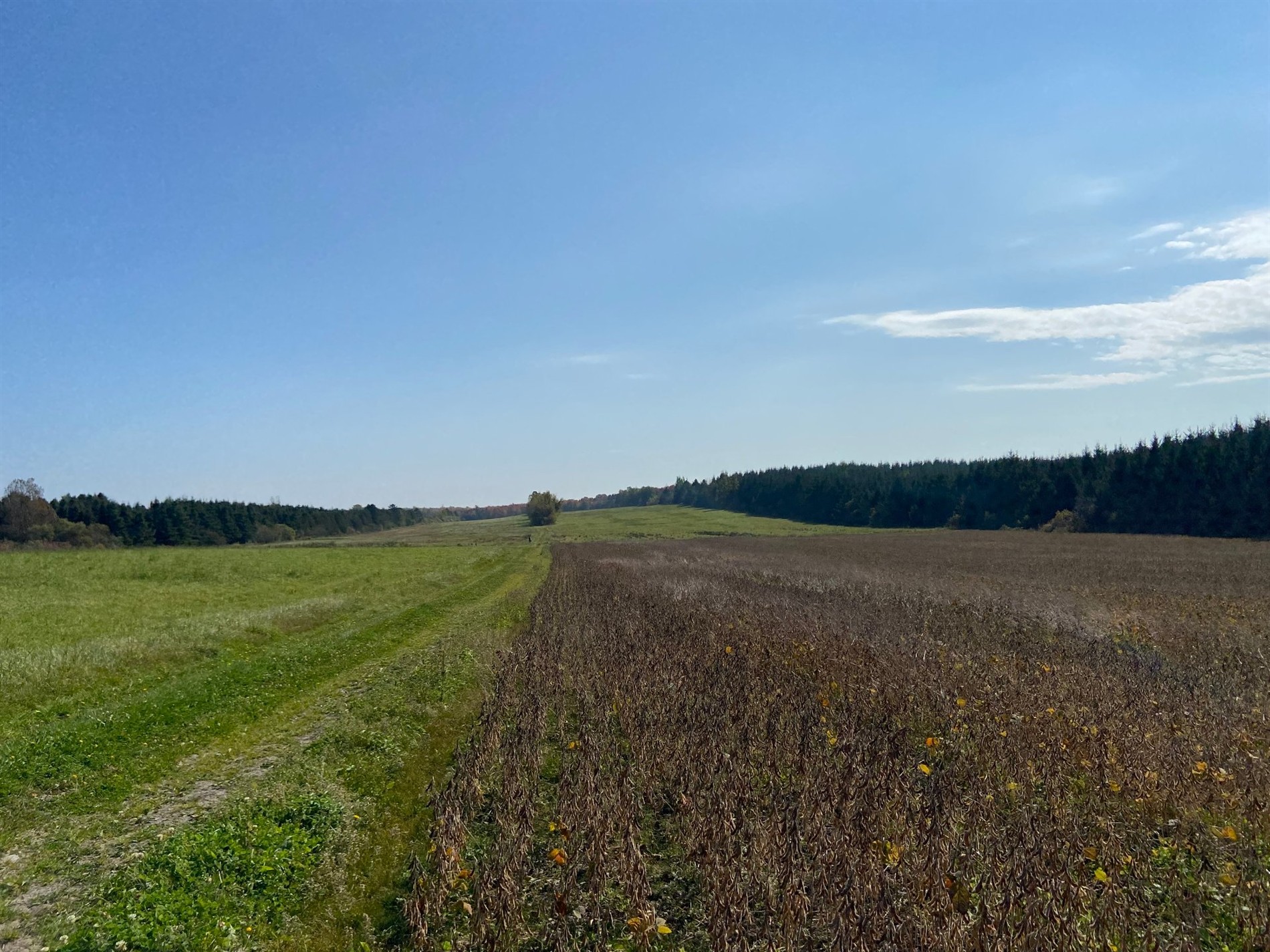 728 Route 108 — photo 1