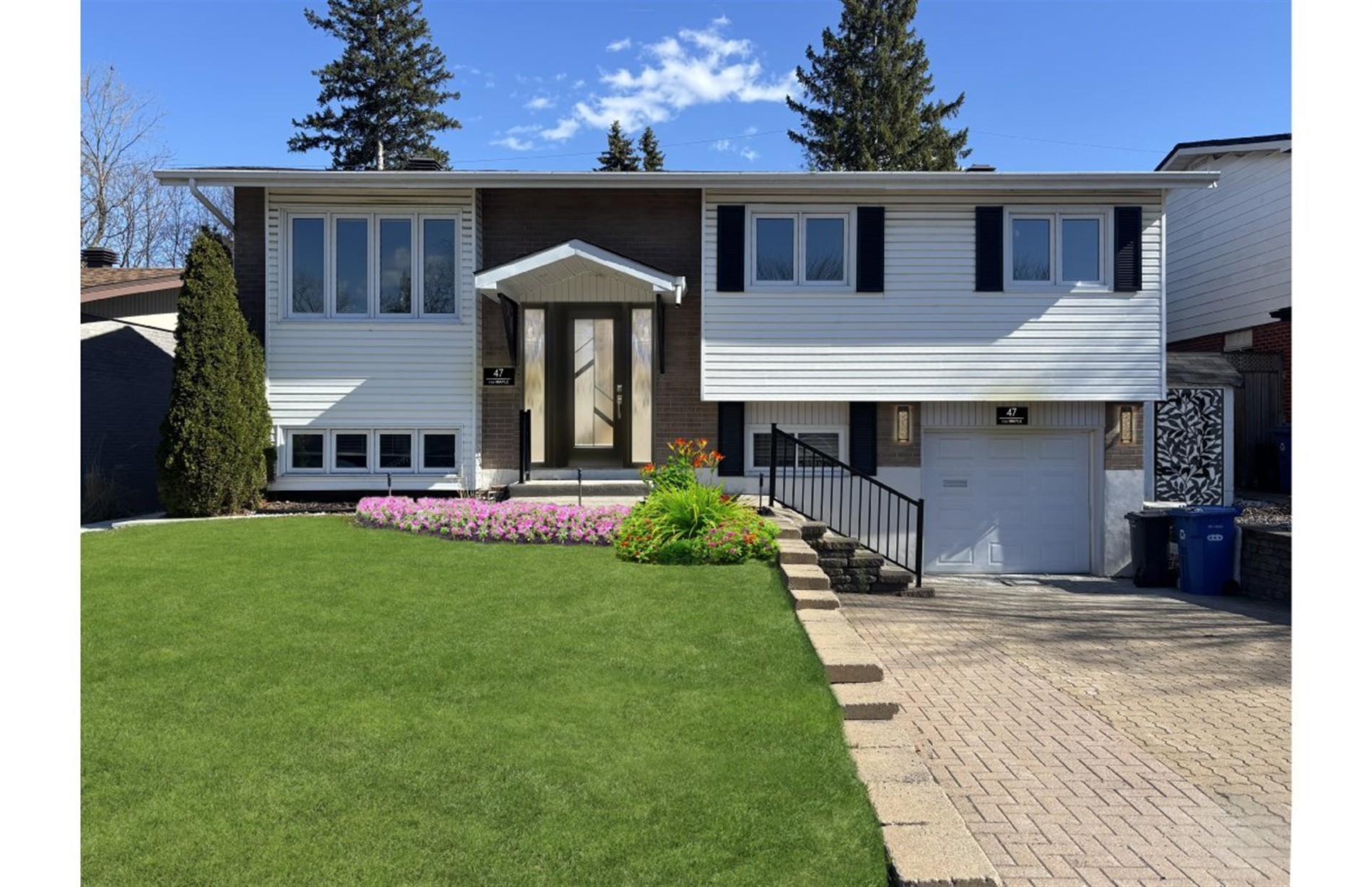 47 Cer. Maple — photo 1