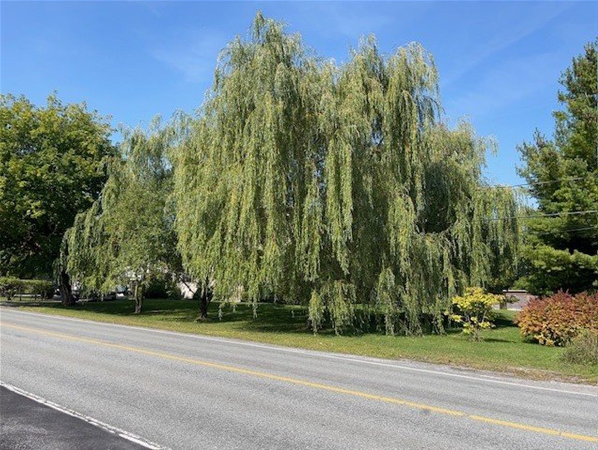Maison à étages à vendre, Mascouche, photo 15 de 49