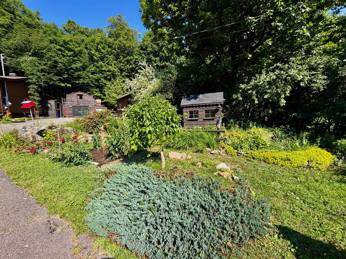 Photo 18