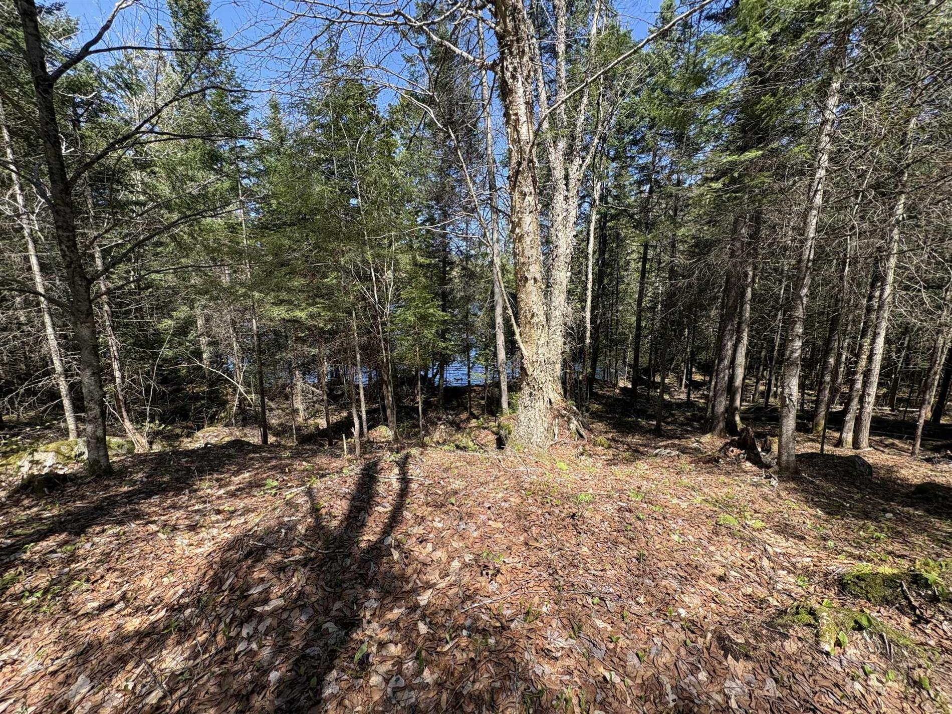 Ch. du Lac-Earl E. — photo 2