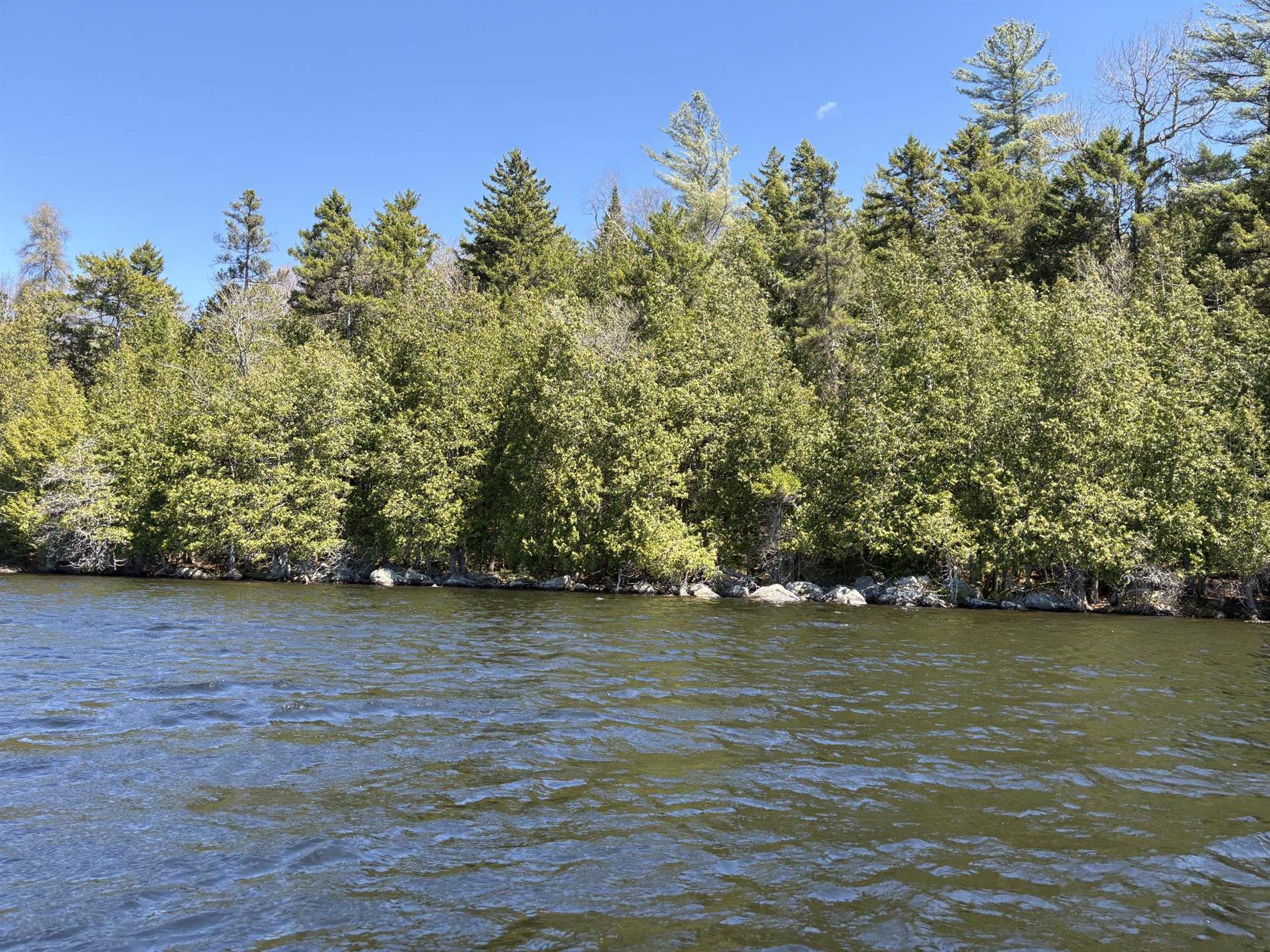 Ch. du Lac-Earl E. — photo 1