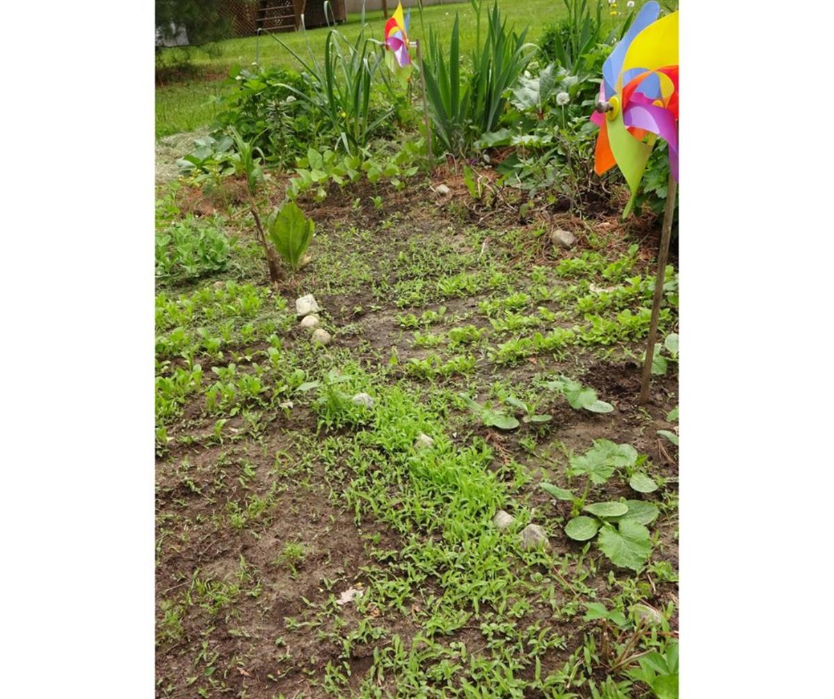 Photo 29