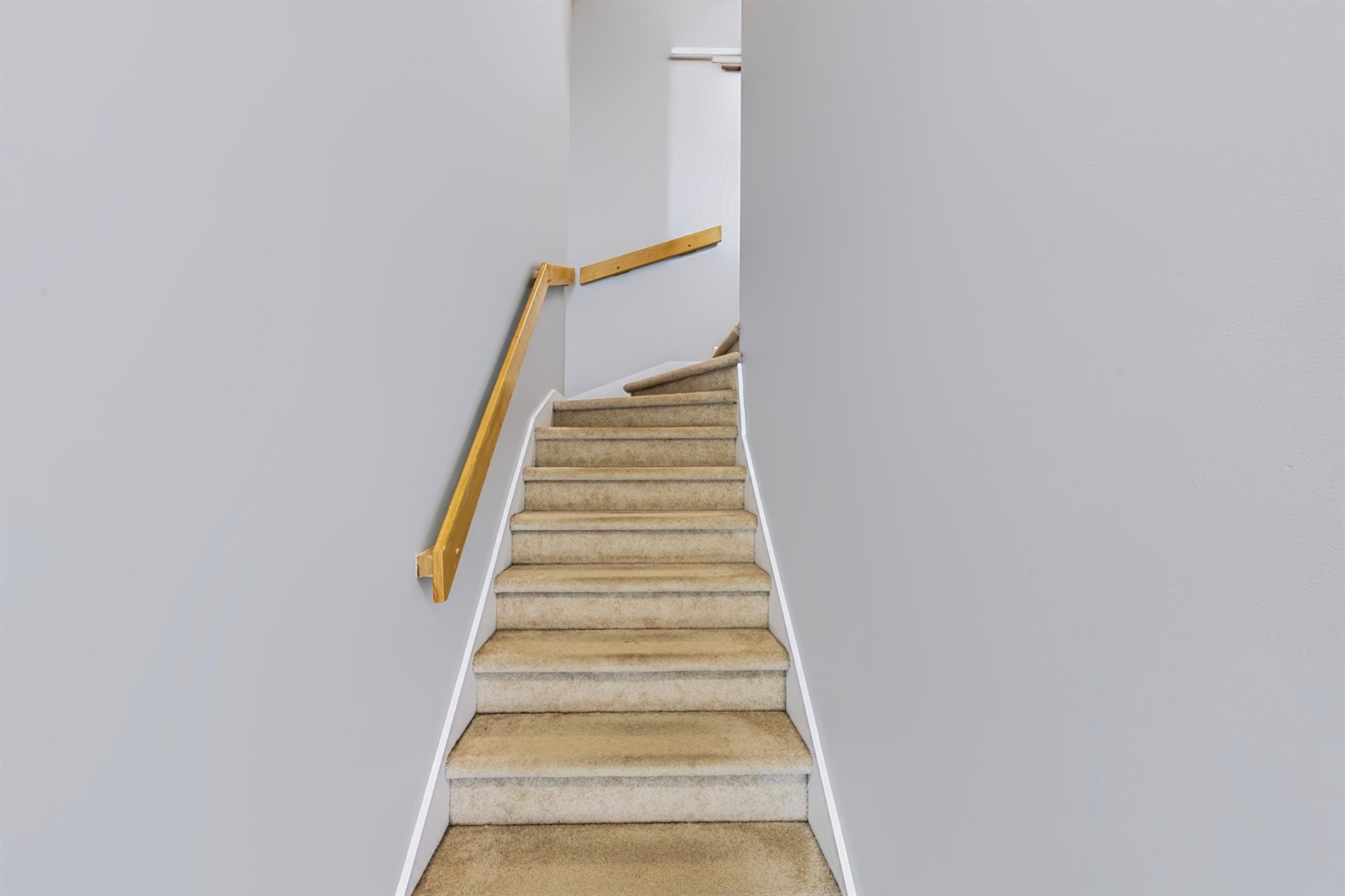 3152 Rue Ste-Catherine E. — photo 3