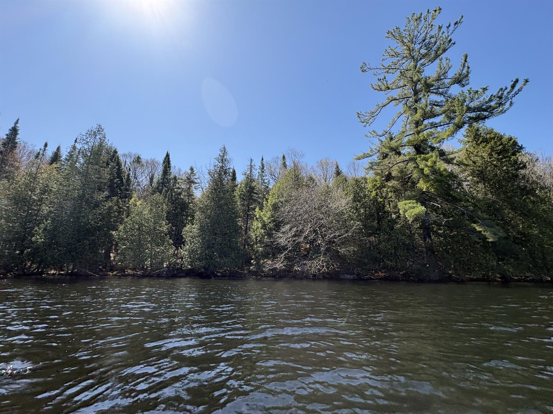 Ch. du Lac-Earl E. — photo 1