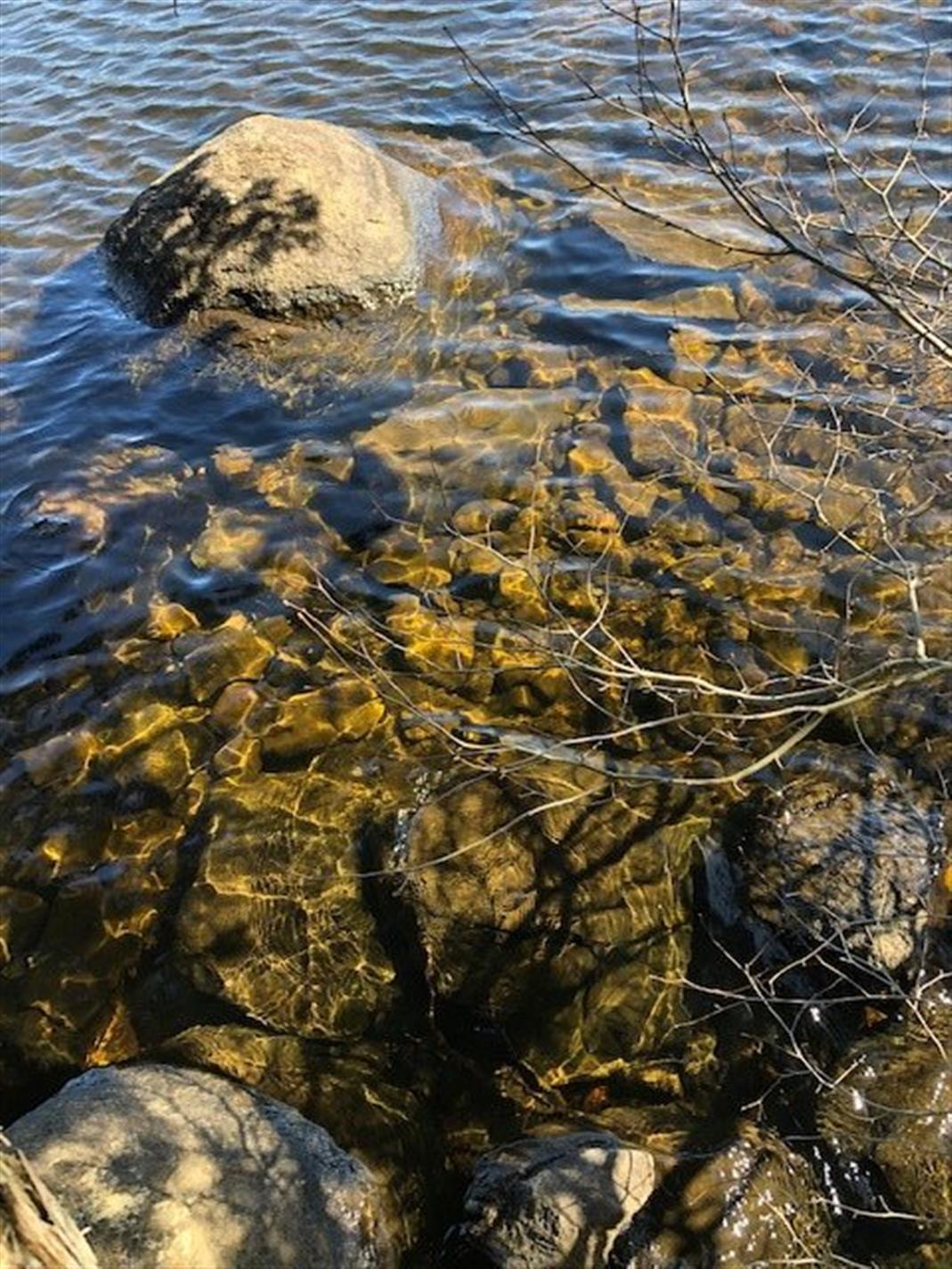8131 Lac-des-Écorces — photo 3