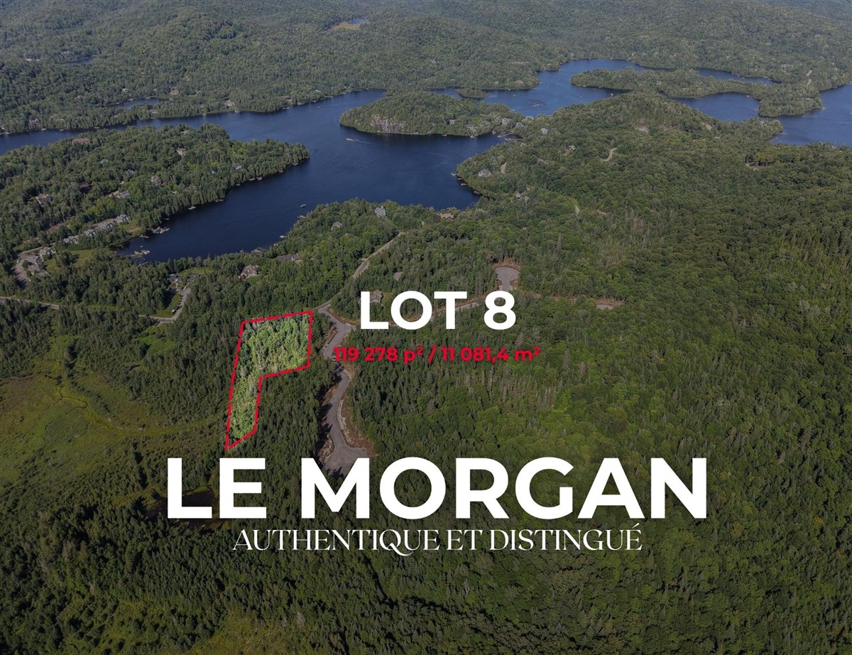 Terrain - 8 Ch. Morgan, Saint-Adolphe-d'Howard