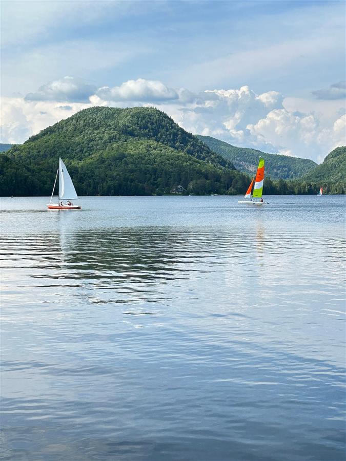 Photo 40