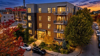 Appartement / Condo - Montréal (Le Plateau-Mont-Royal)