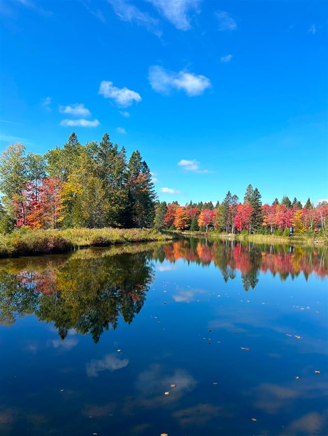 Vue 2 de la propriété réf. 17648921 – Ch. des Versants J0T 1S0