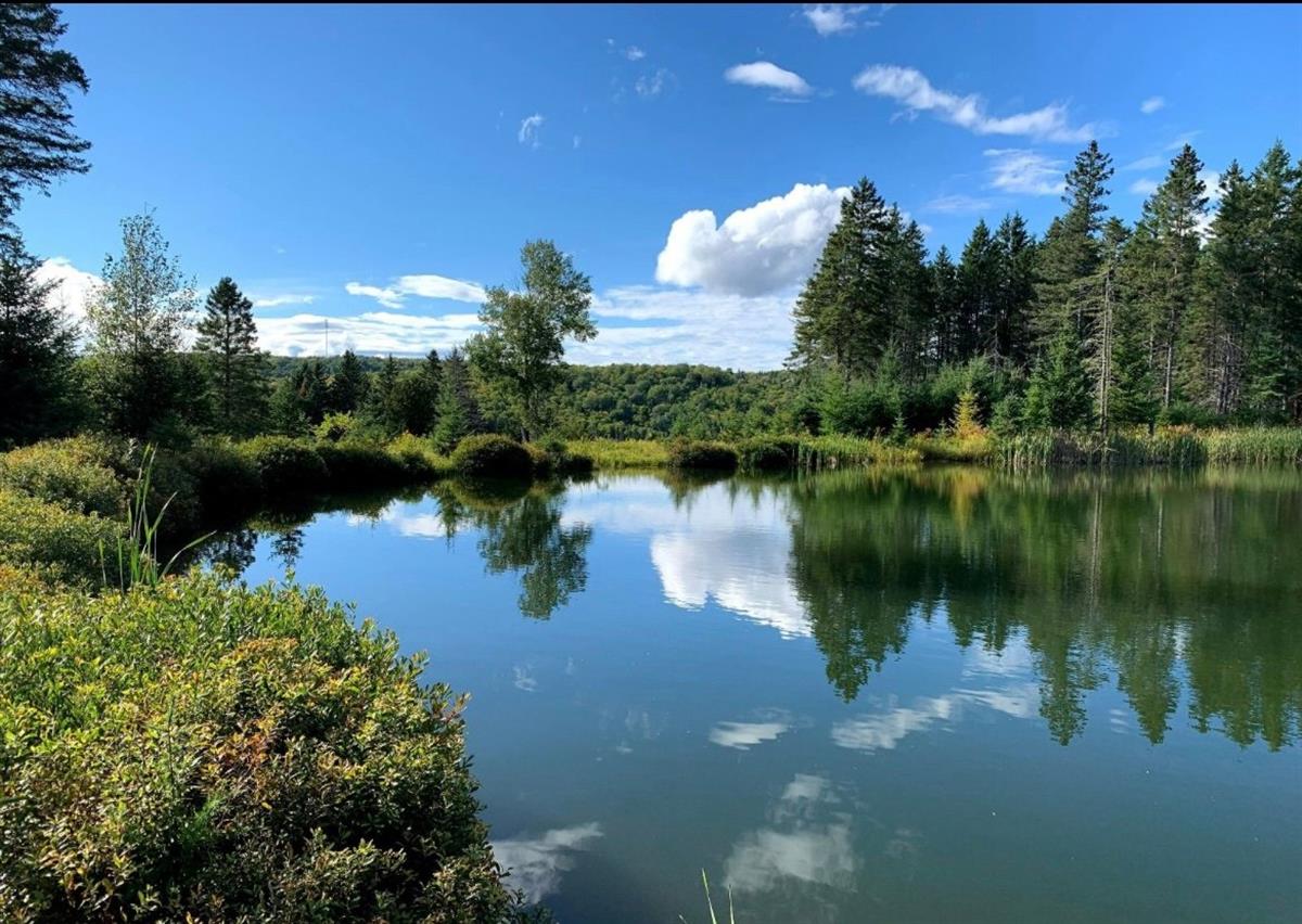 Vue 2 de la propriété réf. 17648921 – Ch. des Versants J0T 1S0