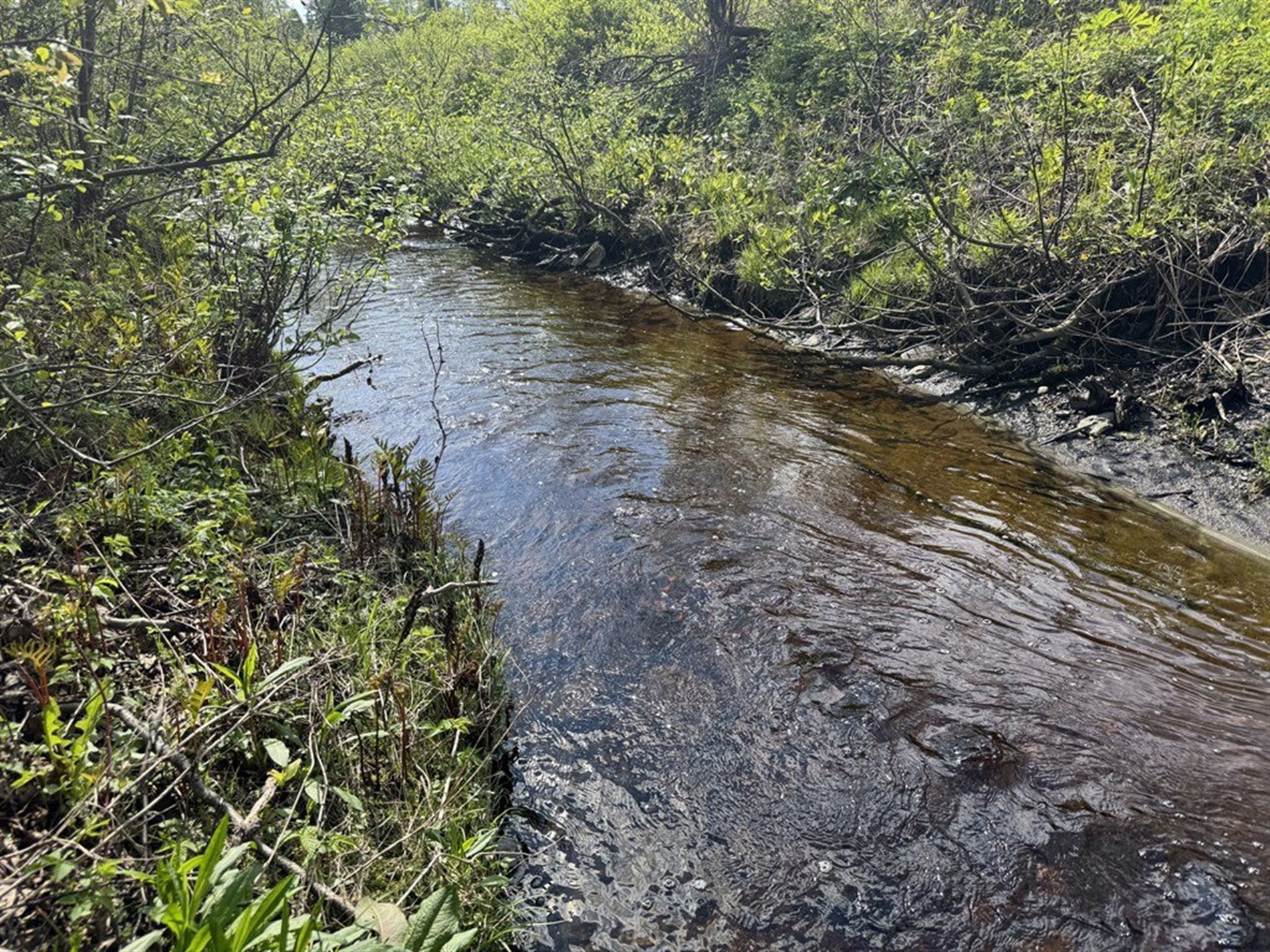 Route 263 — photo 3