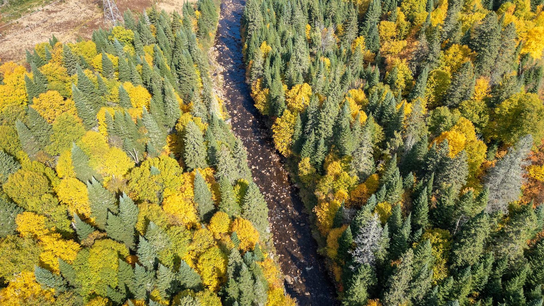 Terrain — 3 Rue non disponible, app. AA