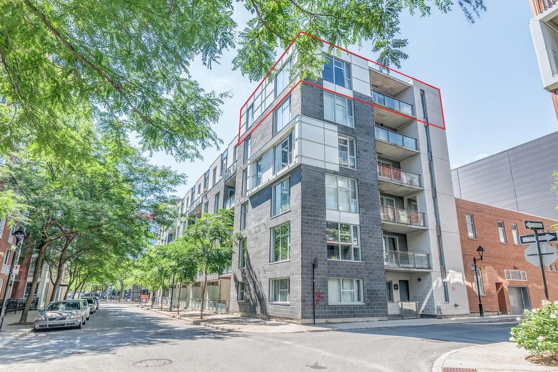 602-1205 Rue St-Dominique — photo 2