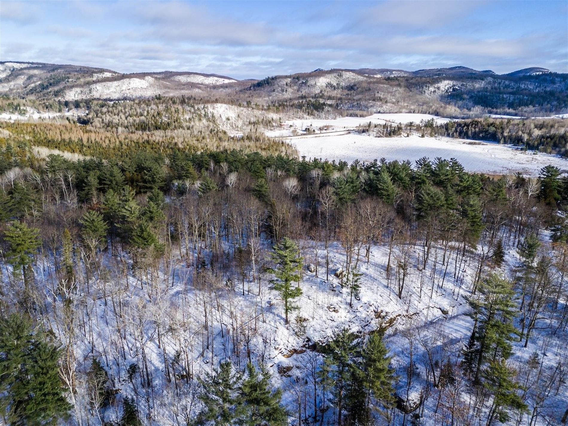 89 Mtée du Lac — photo 3