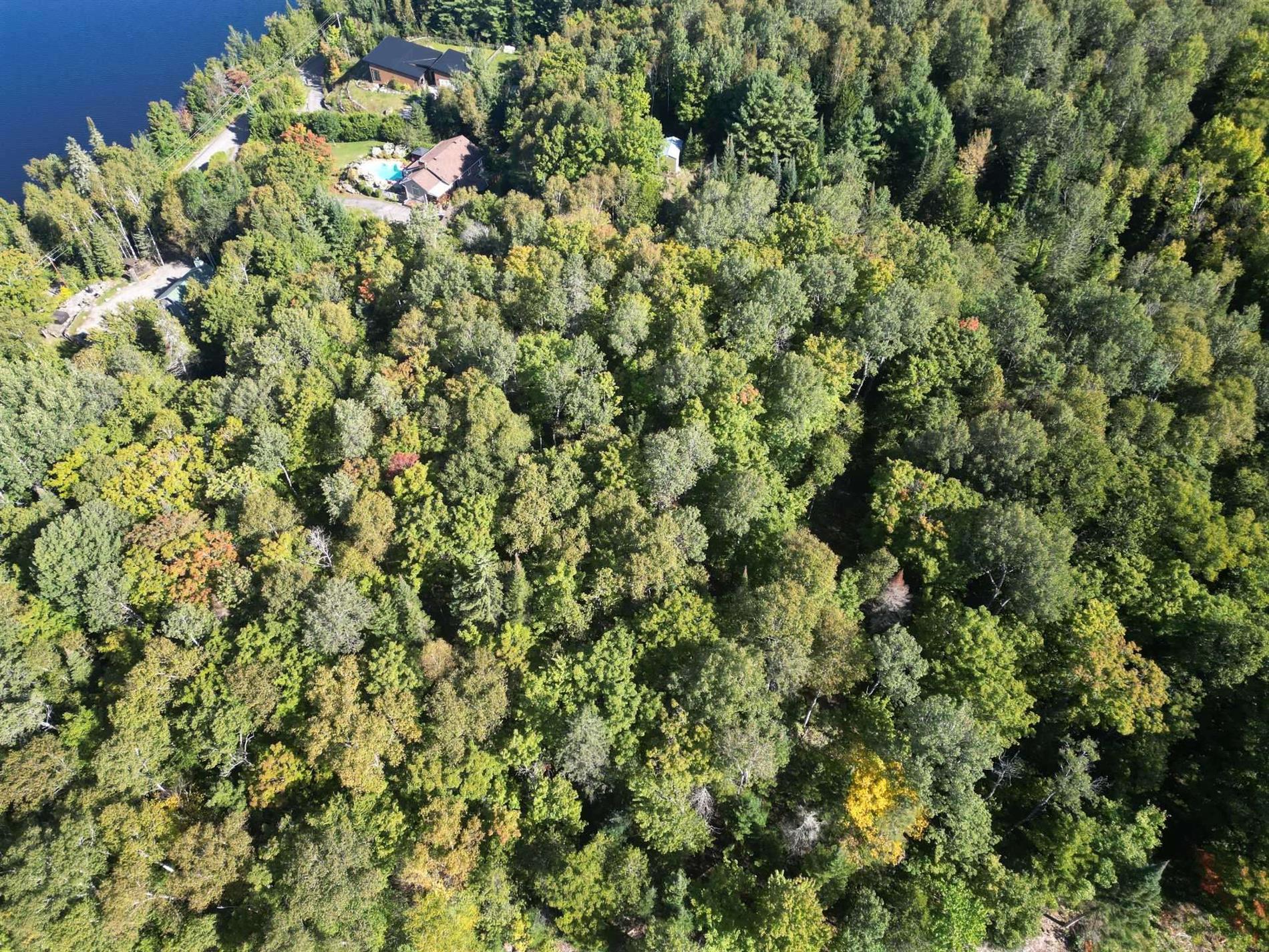 Ch. du Lac-de-l'Abies — photo 2