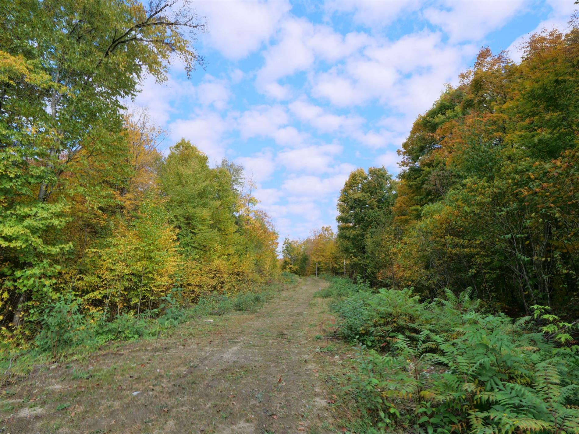 11e Rang — photo 2