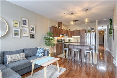 Appartement / Condo - Montréal (Le Plateau-Mont-Royal)