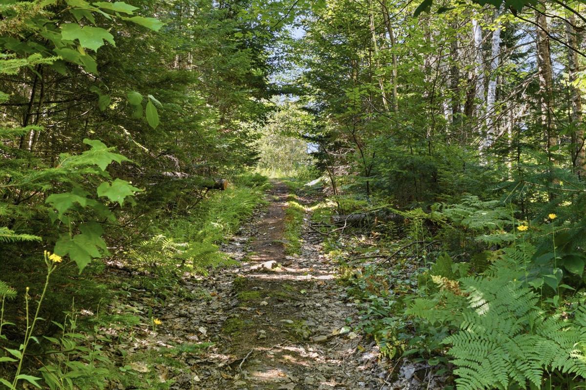 Photo 44