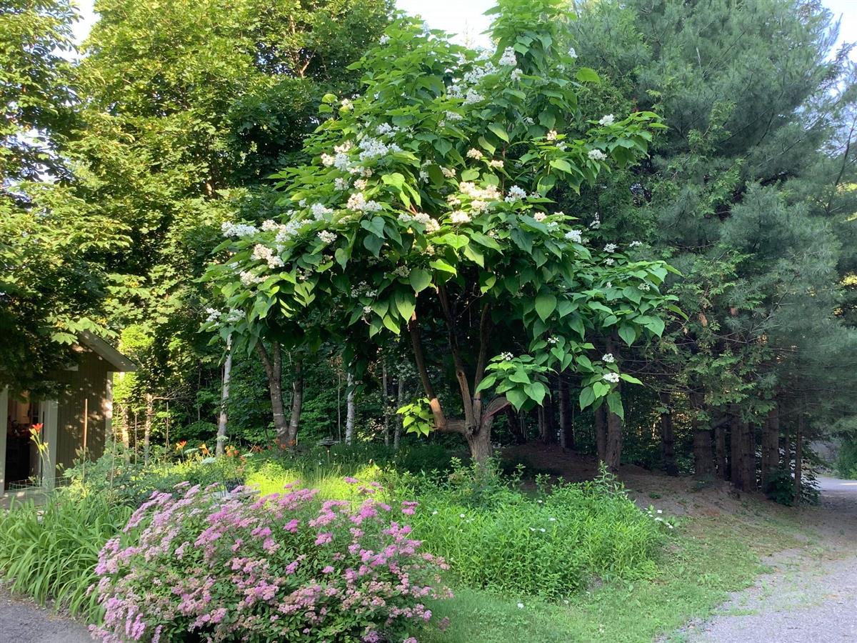 Photo 54