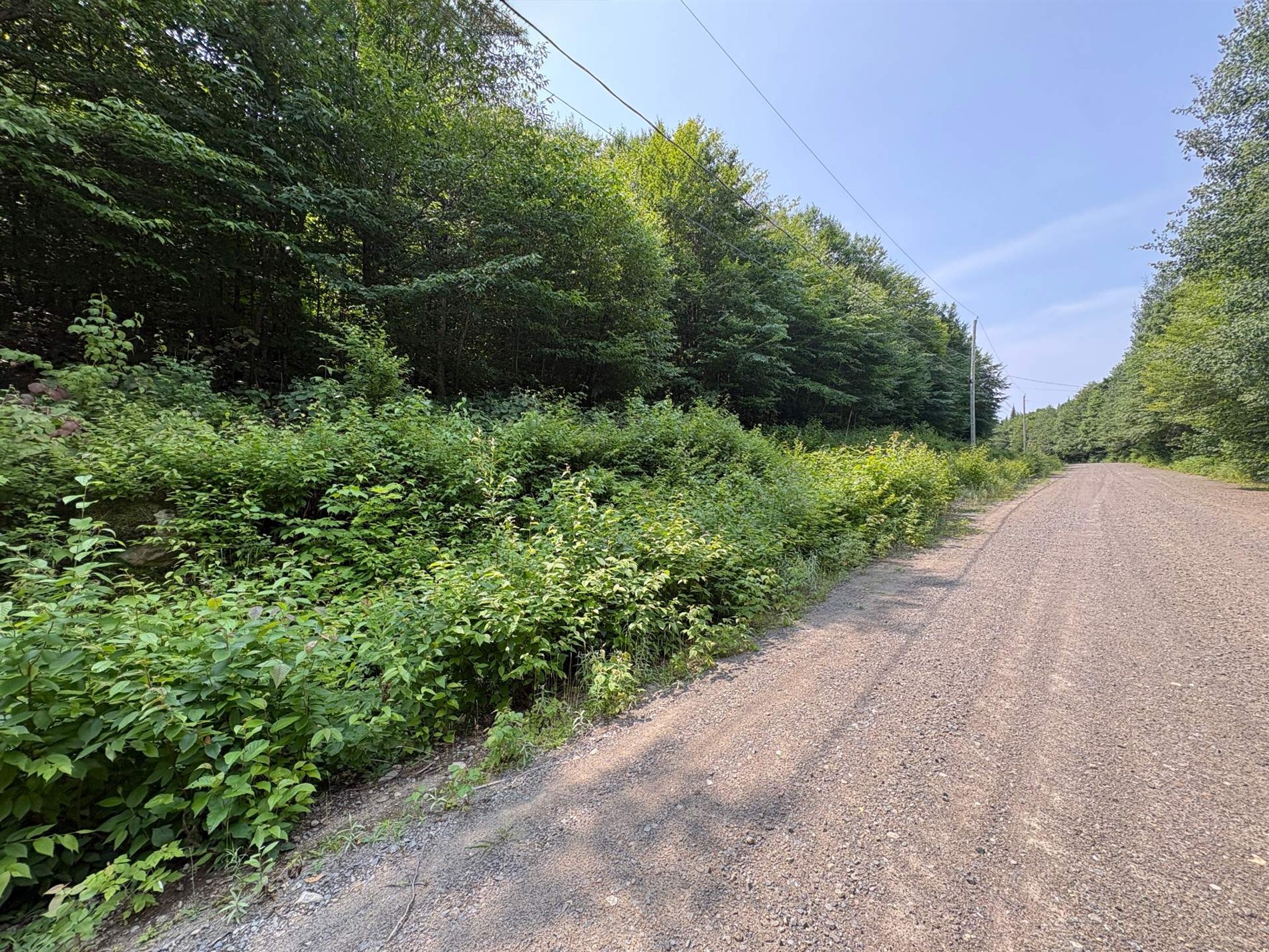 Ch. Dubeau — photo 1