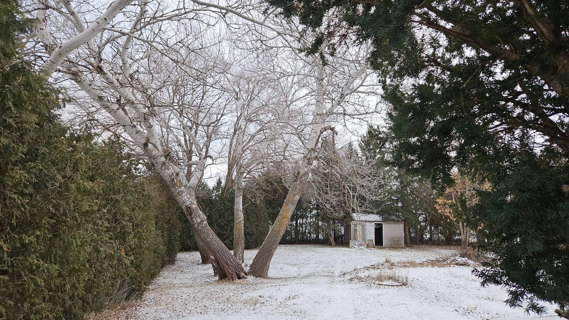 340 Rue St-Pierre — photo 3