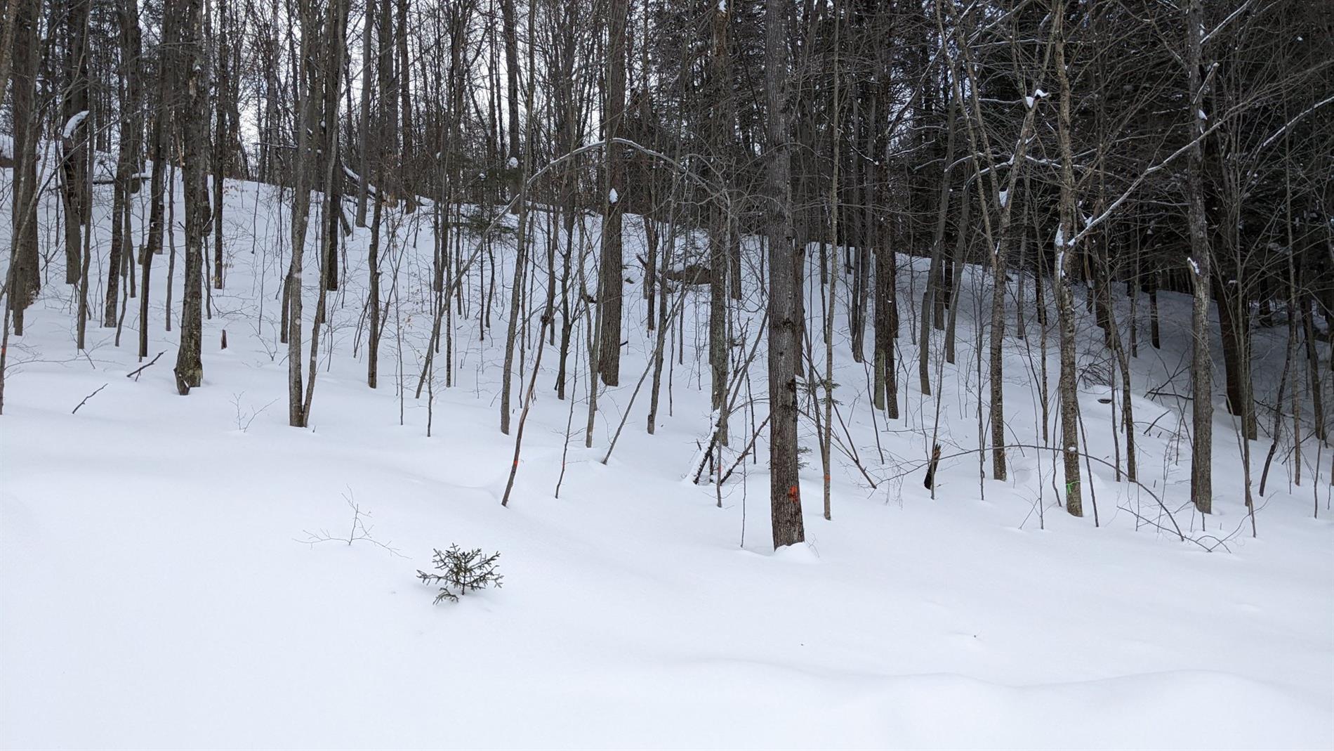 Ch. du Lac-Wilson — photo 1
