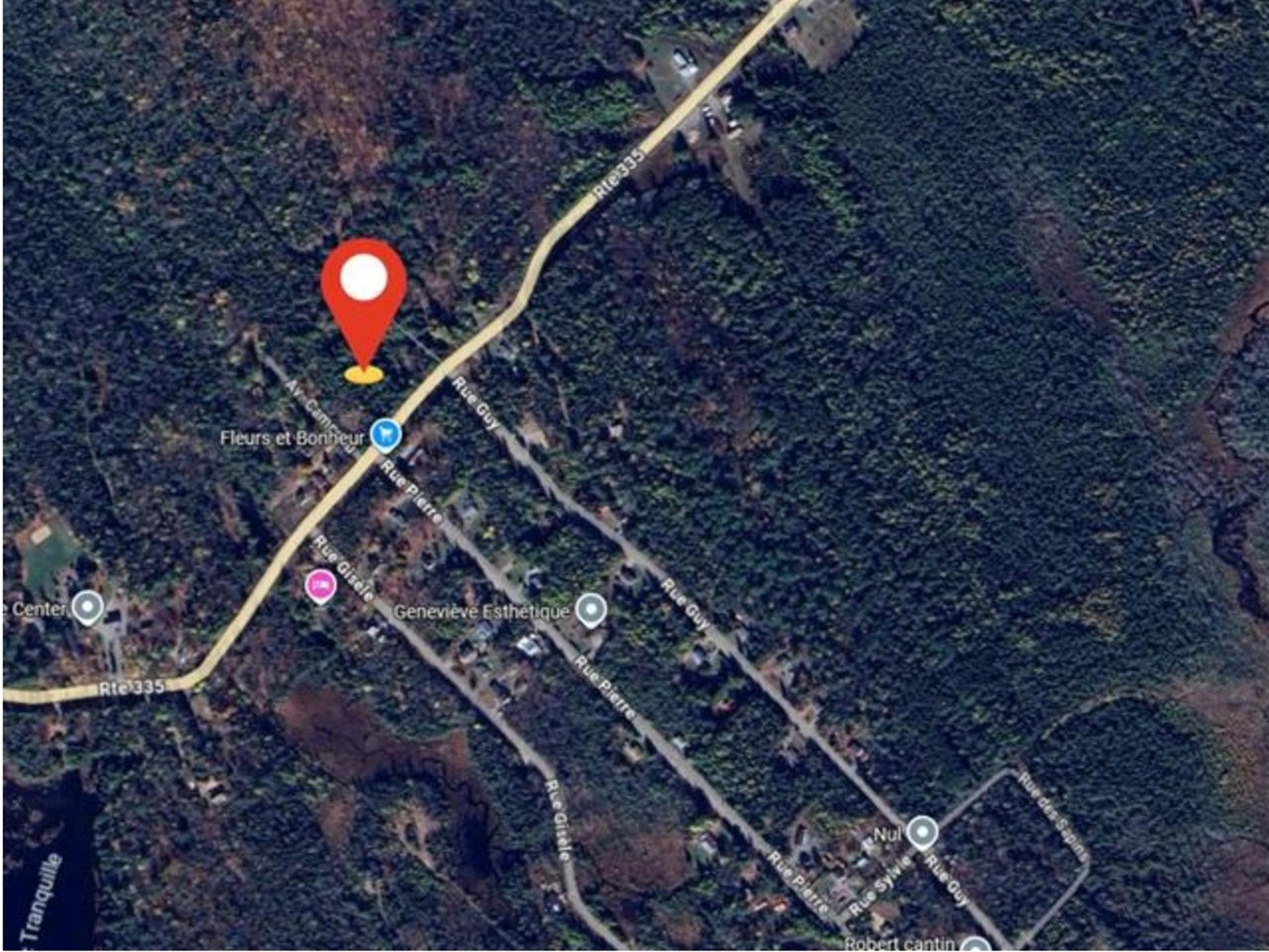 Route 335 — photo 2