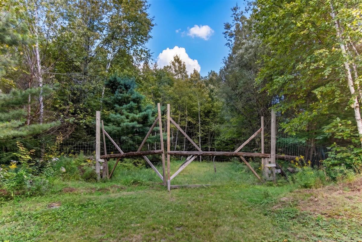 Photo 45