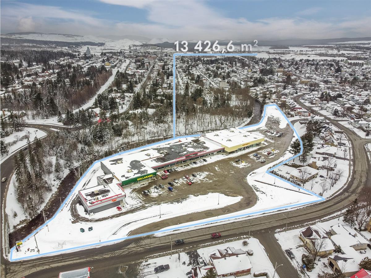 Commercial building / Office - 100 1re Rue, Thetford Mines