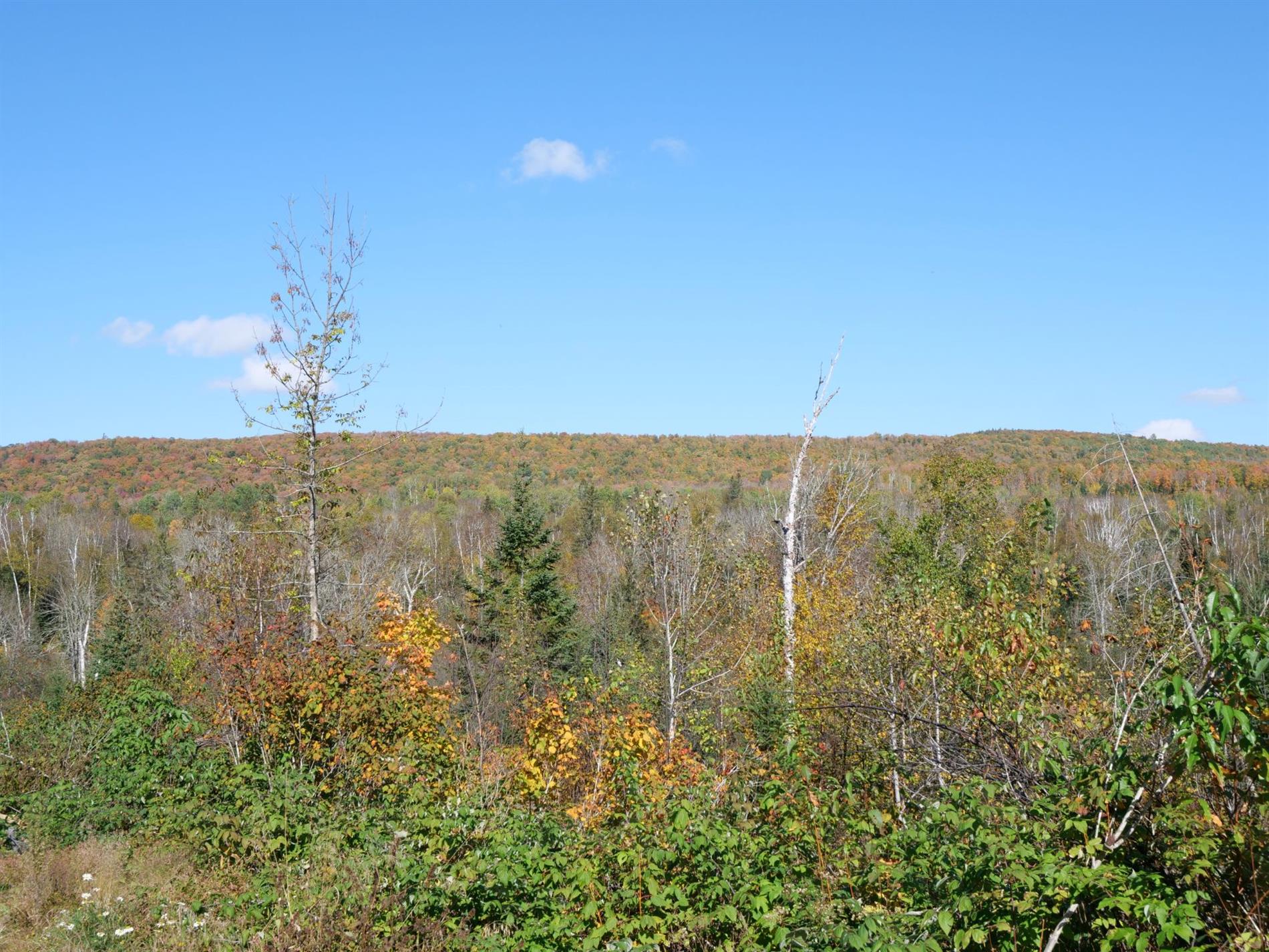 9e Rang — photo 1